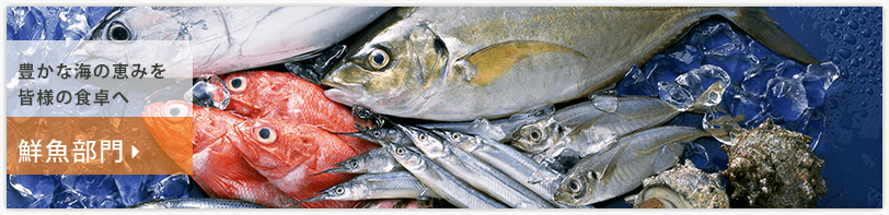 鮮魚部門-豊かな海の恵みを皆様の食卓へ