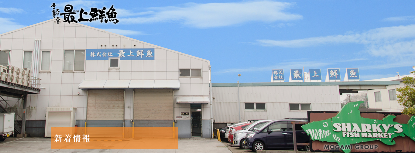 新着情報